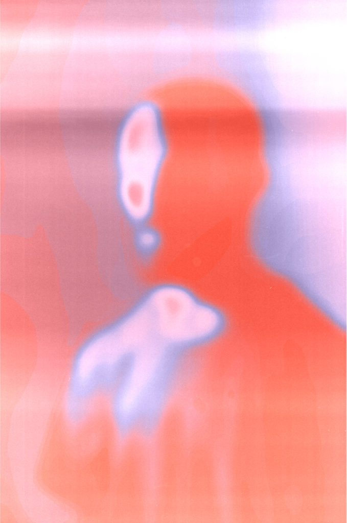 Paul Mesnager