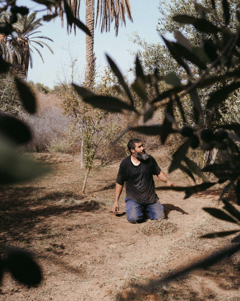 Paul Mesnager