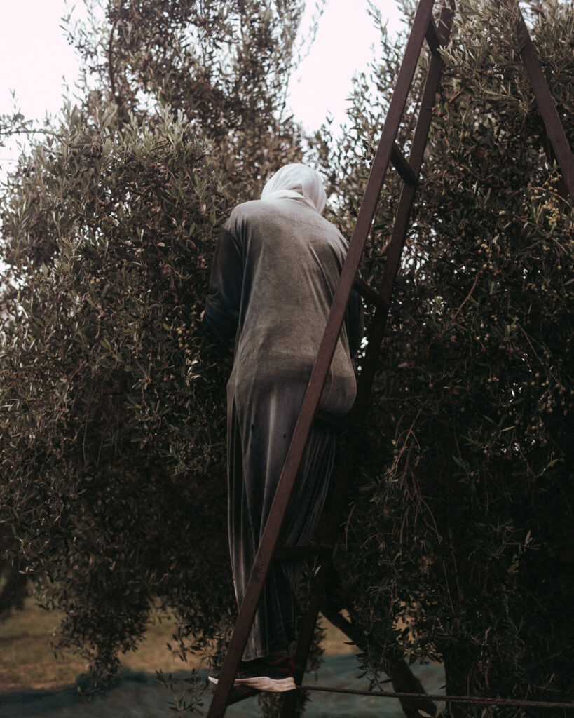Paul Mesnager