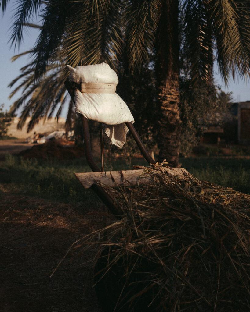 Paul Mesnager